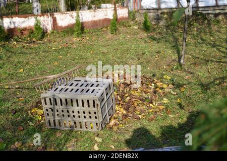 Peigne en bois et boîte en plastique pour le stockage des feuilles en automne Banque D'Images