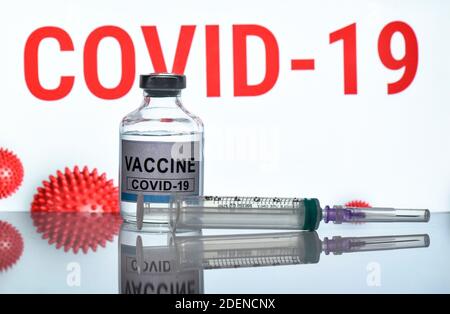 Guwahati, Assam, Inde. 1er décembre 2020. Sur cette photo, une bouteille étiquetée comme le vaccin Covid-19 coronavirus avec une seringue est vue à Guwahati, en Inde, le 30 novembre 2020. L'Inde mène également un procès en dernière étape de Spoutnik V. Credit: David Talukdar/ZUMA Wire/Alamy Live News Banque D'Images