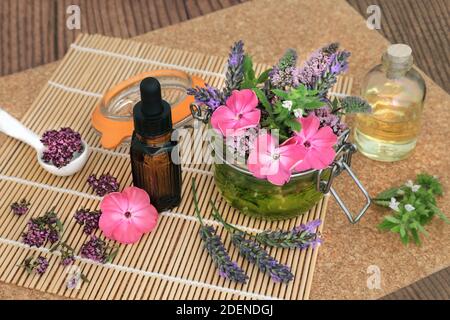 Préparation d'huile essentielle pour l'aromathérapie et la phytothérapie naturelle avec fleurs d'été, herbes, compte-gouttes et bouteilles d'huile. Soins de santé alternatifs Banque D'Images