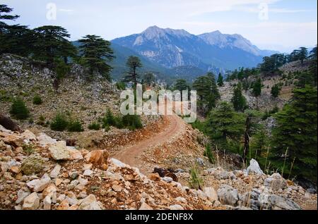 Route de terre venteuse dans les montagnes. Randonnée sur la voie lycienne dans les montagnes du Taurus en Turquie. Banque D'Images