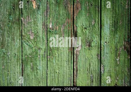 Planches en bois rustiques et altérées. Ancienne clôture verte avec texture de bois usée Banque D'Images