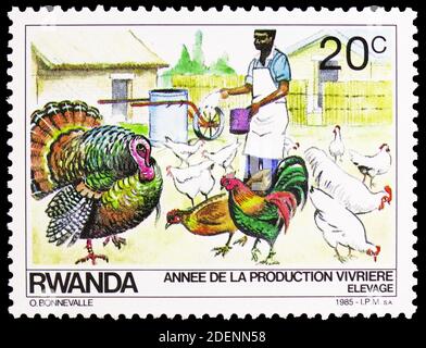 MOSCOU, RUSSIE - 28 JUIN 2020 : timbre-poste imprimé au Rwanda montre du poulet (Gallus gallus domestica), de la Turquie (Meleagris gallopavo), production alimentaire Banque D'Images