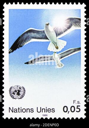 MOSCOU, RUSSIE - 28 JUIN 2020 : timbre-poste imprimé aux Nations Unies, Genève, montre European Herring Gull (Larus argentatus), série des symboles des Nations Unies, ci Banque D'Images