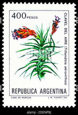 MOSCOU, RUSSIE - 28 JUIN 2020: Timbre-poste imprimé en Argentine montre Tillaandsia aëranthos, série de fleurs, vers 1982 Banque D'Images