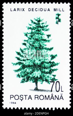 Le timbre-poste imprimé en Roumanie montre le Larch européen (Larix decidua), série d'arbres, vers 1994 Banque D'Images