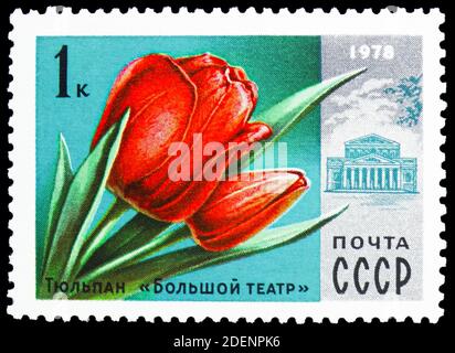 MOSCOU, RUSSIE - 28 JUIN 2020: Timbre-poste imprimé en Union soviétique montre le "Théâtre Bolchoï" de tulipe, série de fleurs de Moscou, vers 1978 Banque D'Images