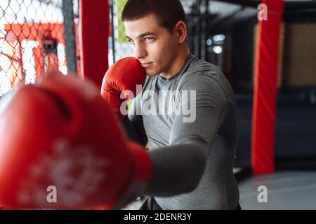 Boxeur masculin engagé dans l'entraînement dans la salle de gym, dans une cage pour un combat sans règles Banque D'Images