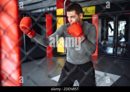 Boxeur masculin engagé dans l'entraînement dans la salle de gym, dans une cage pour un combat sans règles Banque D'Images