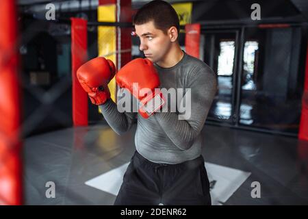 Boxeur masculin engagé dans l'entraînement dans la salle de gym, dans une cage pour un combat sans règles Banque D'Images