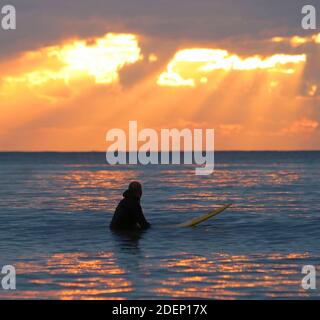 surfeurs attendant sur l'eau pour une vague dans le coucher de soleil Banque D'Images