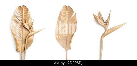 Ensemble de feuilles et de fleurs de palmier doré. Banque D'Images