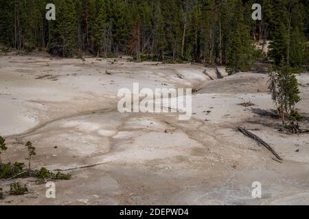 Le volcan de boue et le chou-fleur de soufre sont des pots de boue et des fumeroles, dans le parc national de Yellowstone Wyoming - paysage de la région Banque D'Images