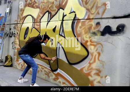 Graffitis dans le centre-ville de Beyrouth pendant la Révolution 2019, UN manifestant libanais attire la graffitis pour montrer leur soutien et exprimer leur réaction dans le cadre de manifestations antigouvernementales semblent utiliser le graffiti pour l'expression émotionnelle de la révolution. Les images utilisent des mots politiques, des citations et parfois des insultes. De nombreux messages contiennent des mots jurons et un langage brut, dans un effort pour supprimer leurs cibles (par exemple, les dirigeants du gouvernement) de leur légitimité et de leurs références morales. L'art a été fait à la hâte dans un moment de colère et de dégoût contre le système. Beyrouth, Liban, le 31 octobre 2019. Photo d'Alfred Banque D'Images