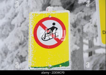 panneau d'interdiction jaune de luge ou de luge, forêt d'hiver enneigée à l'arrière Banque D'Images