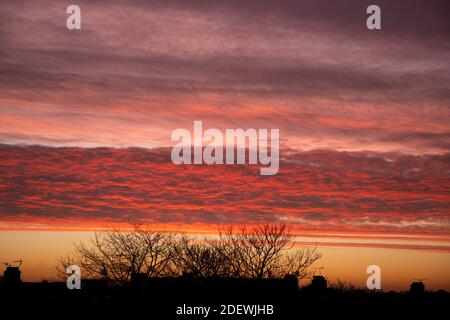 Londres, Royaume-Uni. 2 décembre 2020. La couche nuageuse horizontale est illuminée par le soleil levant sous l'horizon créant un ciel coloré avant l'aube au-dessus des toits du sud-ouest de Londres. Crédit : Malcolm Park/Alay Live News. Banque D'Images