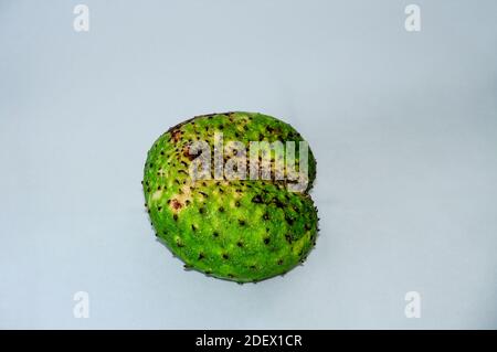 Fruits exotiques au levain ou pomme de Custard de Prickly (Annona muricata) sur fond blanc Banque D'Images