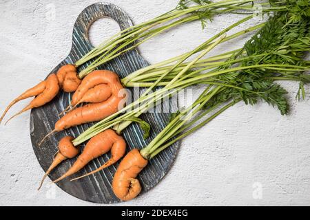 Les racines de carottes laides se trouvent sur une planche à découper ronde en bois sur un fond clair. Banque D'Images