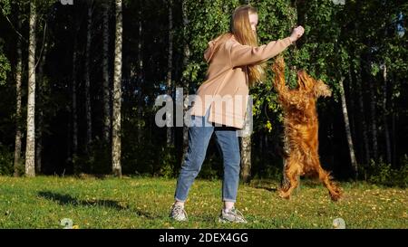 Joyeuse fille imite jeter le bâton et rire à chien de gingembre courir sur la prairie verte contre les bouleaux en automne Banque D'Images
