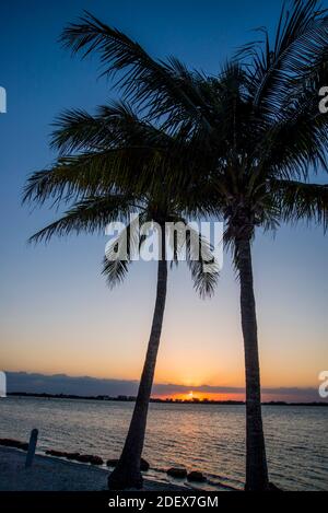 Plage de sable blanc à Sarasota, Floride Banque D'Images