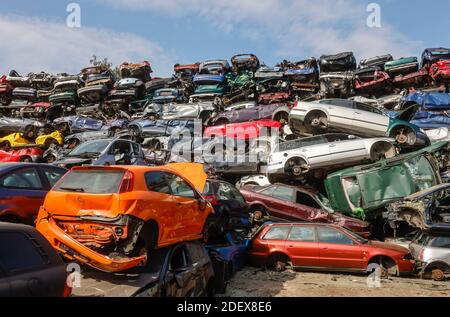 Bottrop, Rhénanie-du-Nord-Westphalie, Allemagne - véhicules en fin de vie sur un chantier de ferraille. Banque D'Images