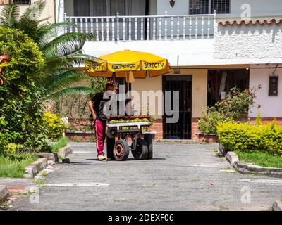 MEDELLIN, COLOMBIE - 16 novembre 2020: Medellin, Antioquia / Colombie - 15 2020 novembre: Jeune homme vendant des avocats dans un chariot de parapluie Banque D'Images