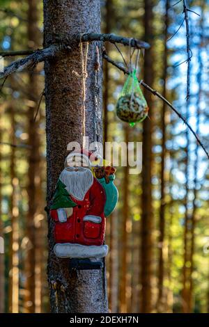 Ein Nikolaus hängt an einem Baum mitten im Wald, unter einem Meisenknödel. Le Père Noël est accroché à un arbre dans la forêt. Décoration de Noël Banque D'Images