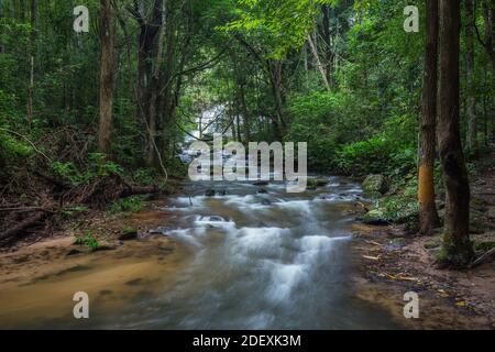 beaucoup de pierres vertes naturelles au milieu de la l'eau de la belle cascade rafraîchissante pour l'écotourisme de la forêt tropicale Banque D'Images