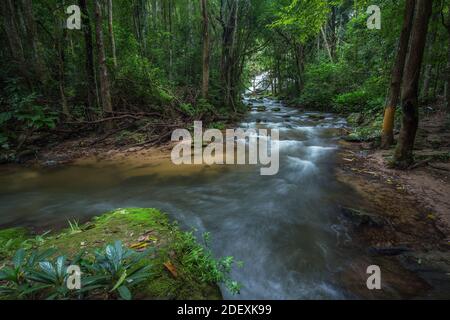 beaucoup de pierres vertes naturelles au milieu de la l'eau de la belle cascade rafraîchissante pour l'écotourisme de la forêt tropicale Banque D'Images