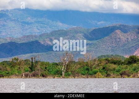 Lac Big Chamo, paysage dans la région des nations, nationalités et peuples du Sud de l'Éthiopie. Région sauvage de l'Afrique Banque D'Images