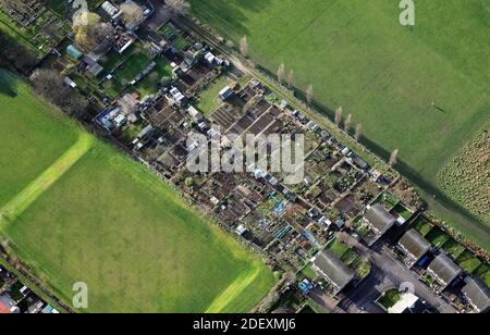 Vue aérienne, presque verticale, des lotissements de jardiniers en Angleterre, au Royaume-Uni Banque D'Images