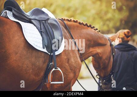 Un cavalier aux cheveux rouges conduit un cheval de l'ostréime par la bride un jour d'été. Sports équestres. Équitation. Banque D'Images