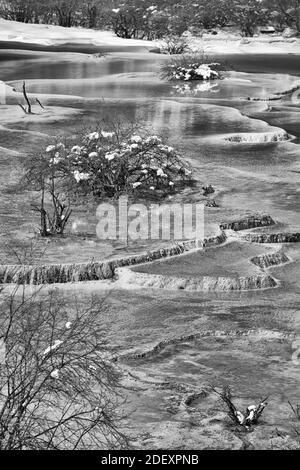 Les étangs de chinois en hiver, photo en noir et blanc. Banque D'Images