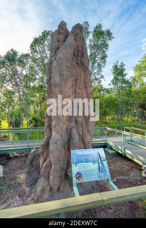 Parc national de Litchfield, territoire du Nord, Australie - UNE cathédrale termite dans le parc national de Litchfield. Banque D'Images