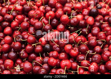 Cerises, Rue Cler Market, 7ème arrondissement, Paris, Ile-de-France, France Banque D'Images