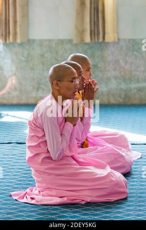 Les religieuses bouddhistes priant à l'intérieur de la pagode du temple à Thetkya Thidar Nunnery, Sakyadhita Thilashin Nunnery School, Sagaing, Myanmar (Birmanie), Asie en février Banque D'Images