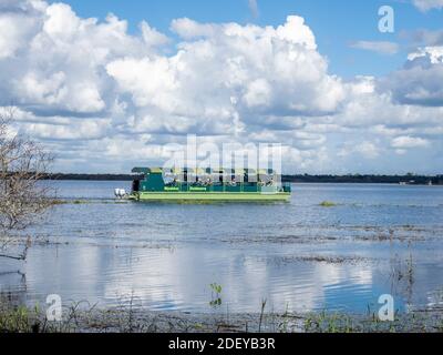 Tour en bateau dans le lac supérieur de Myakka dans l'État de la rivière Myakka Parc à Sarasota Floride aux États-Unis Banque D'Images