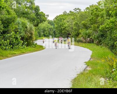 Personnes à vélo dans J.N. Ding Darling National Wildlife refuge sur Sanibel Island en Floride aux États-Unis Banque D'Images