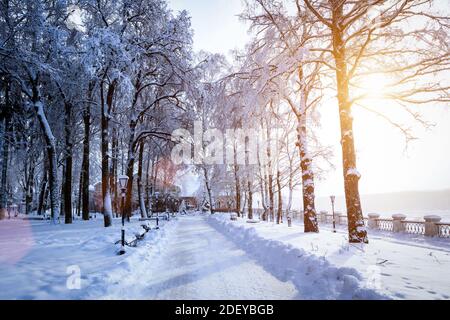 Coucher de soleil ou lever de soleil dans un parc d'hiver avec des arbres, des bancs et une chaussée couverte de neige et de rayons de soleil qui brillent à travers les branches. Banque D'Images