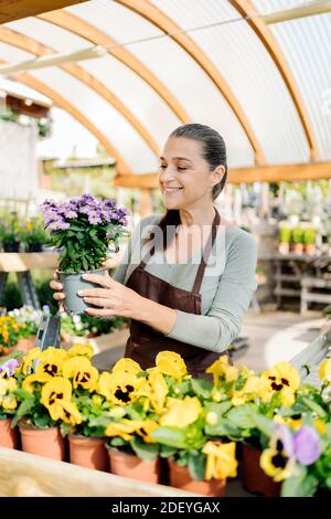 Photo de stock de belle femme d'âge moyen travaillant dans la pépinière de plantes et tenant un pot de fleur. Banque D'Images