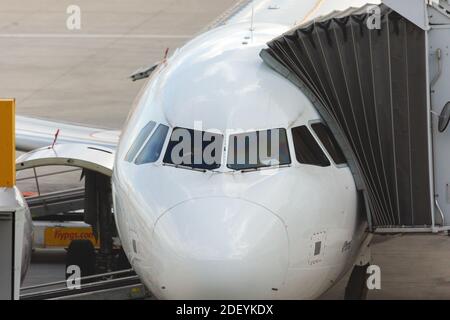 Vue avant d'un avion de type Airbus a320 sur le tablier de l'aéroport. Pont à jet et courroie de convoyeur à bagages connectés. Pilote derrière le pare-brise. Banque D'Images