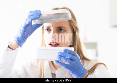 un jeune étudiant apprend un essai scientifique dans un laboratoire Banque D'Images