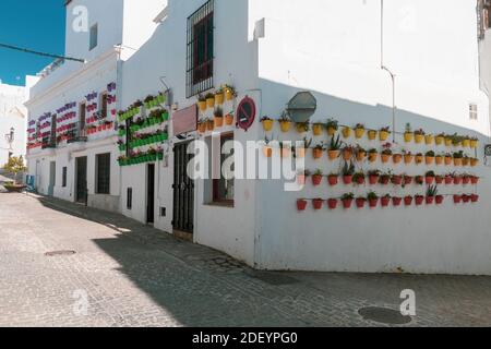 Rues ornées de pots de fleurs à Vejer de la Frontera, Andalousie. Banque D'Images