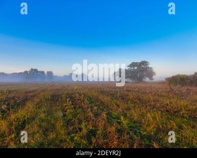 Récemment tondue Prairie au lever du soleil du matin avec Blue Clear Sky Avec une touche de rose et un peu de brouillard Paysage vue panoramique Banque D'Images