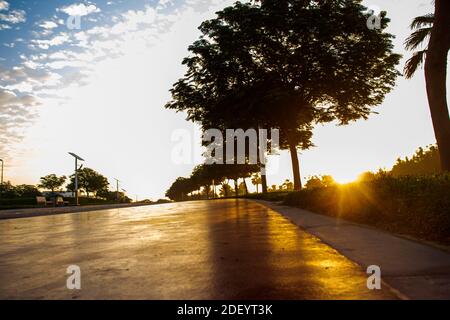 Pistes de jogging et de vélo dans le parc Al Warqa, Dubaï, Émirats arabes Unis tôt le matin. Le poteau de lampe alimenté par des panneaux solaires peut être vu dans l'image. À l'extérieur Banque D'Images