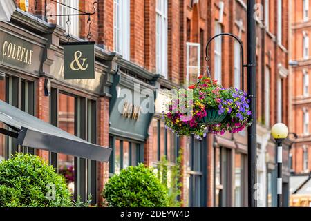 Londres, Royaume-Uni - 23 juin 2018 : route de rue vide à Pimlico par les quartiers de Chelsea et Belgravia avec panier suspendu plante en pot de fleurs de calibre b Banque D'Images