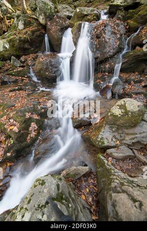 Dark Hollow Falls en automne dans le parc national Shenandoah, Blue Ridge Mountains, Virginie. Banque D'Images