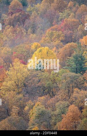 Le feuillage d'automne couvre les forêts du parc national de Shenandoah et de la vallée de Shenandoah en Virginie. Banque D'Images