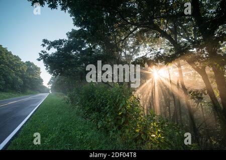 Le lever du soleil brûle le brouillard tôt le matin dans la forêt le long de Skyline Drive, une partie du parc national de Shenandoah en Virginie. Banque D'Images