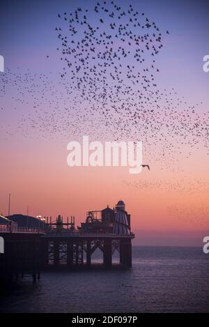 La murmure étoilée au-dessus de Brighton Palace Pier à la fin novembre 2020, avec un beau coucher de soleil. ROYAUME-UNI Banque D'Images