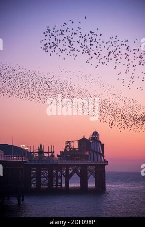 La murmure étoilée au-dessus de Brighton Palace Pier à la fin novembre 2020, avec un beau coucher de soleil. ROYAUME-UNI Banque D'Images